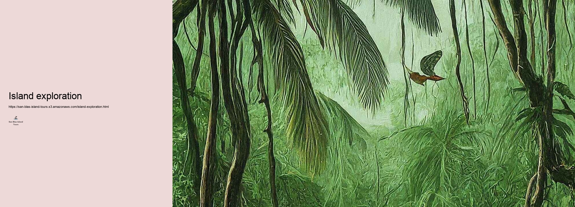 What to Expect on a San Blas Island Trip: Tasks and Highlights