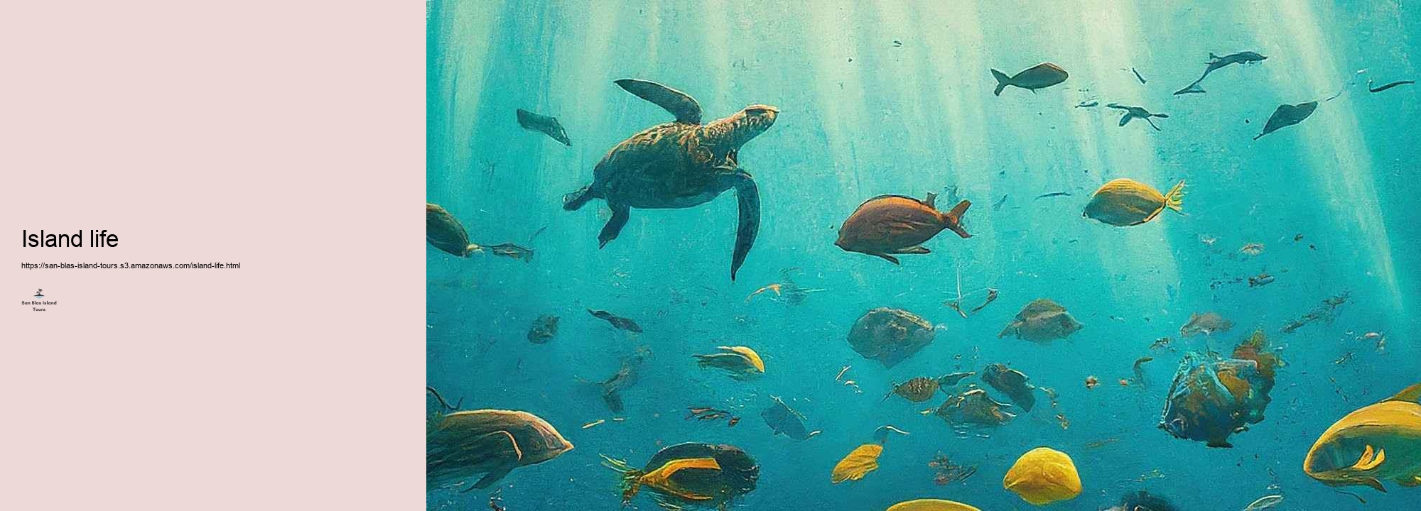 Social Immersion in San Blas: Experience the Guna Yala