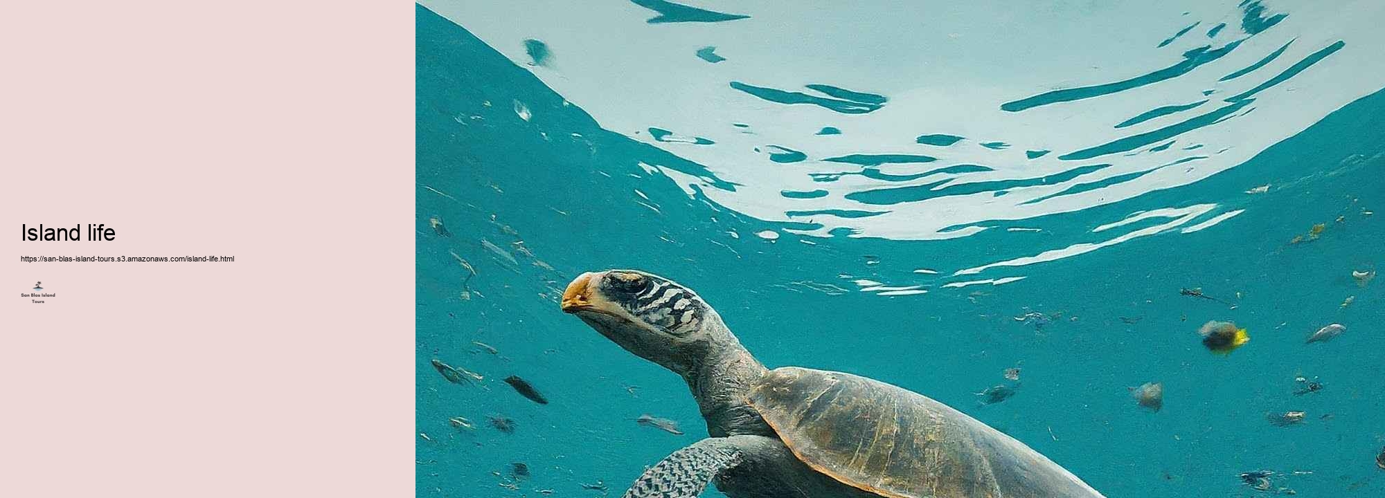 What to Expect on a San Blas Island Journey: Tasks and Stresses