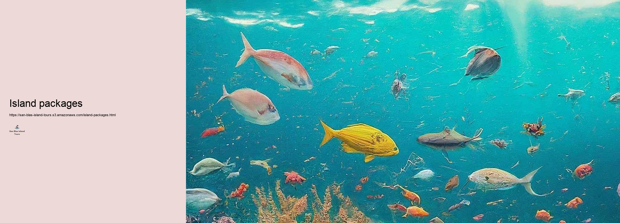 Exactly just how to Plan Your San Blas Island Excursion: Tips and Recommendations