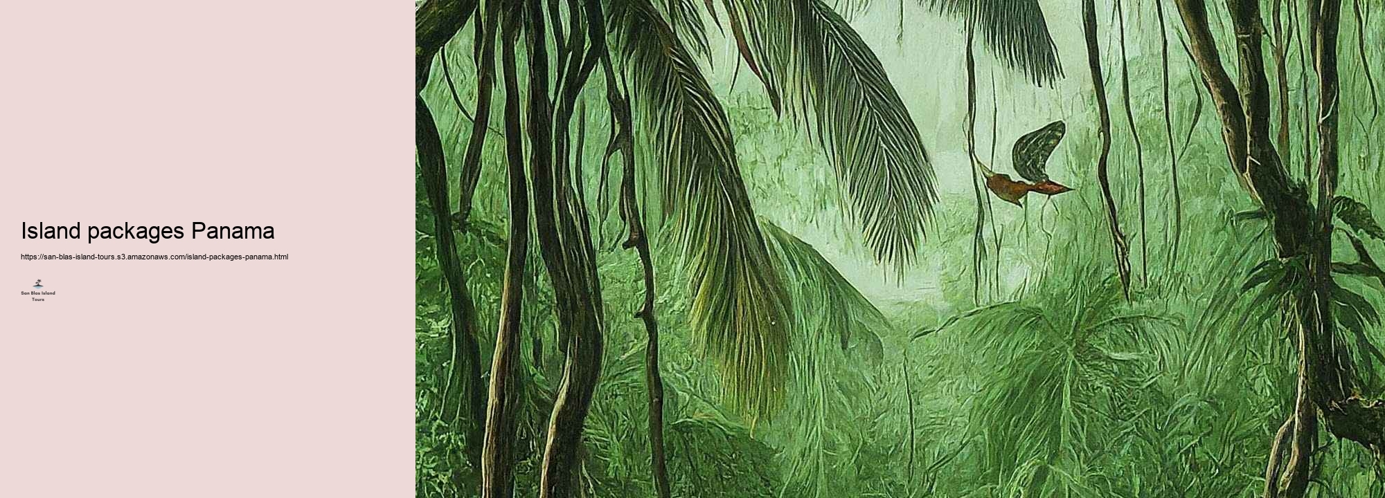 What to Anticipate on a San Blas Island Journey: Tasks and Emphasizes