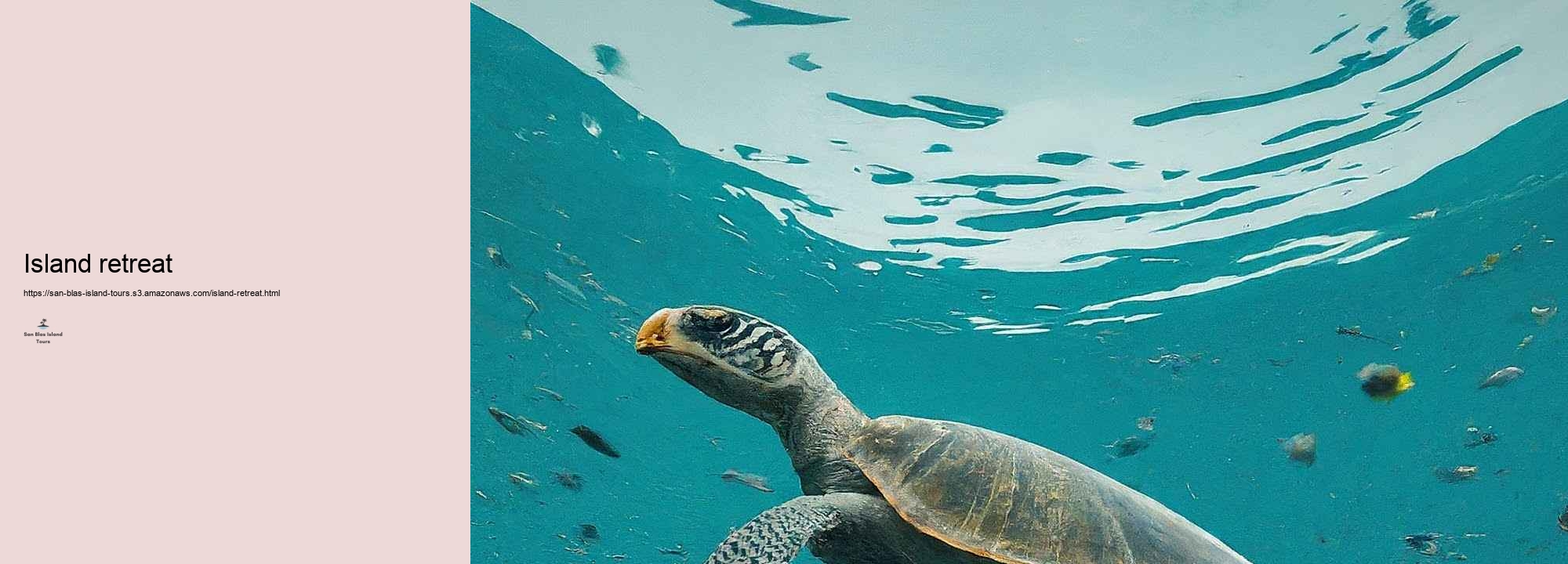 What to Expect on a San Blas Island Tour: Tasks and Highlights