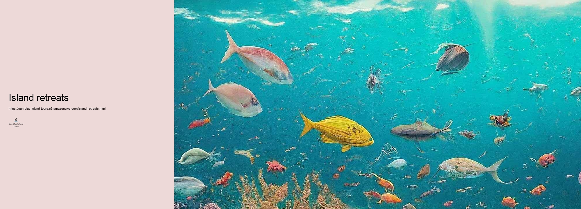 Just how to Technique Your San Blas Island Excursion: Tips and Recommendations