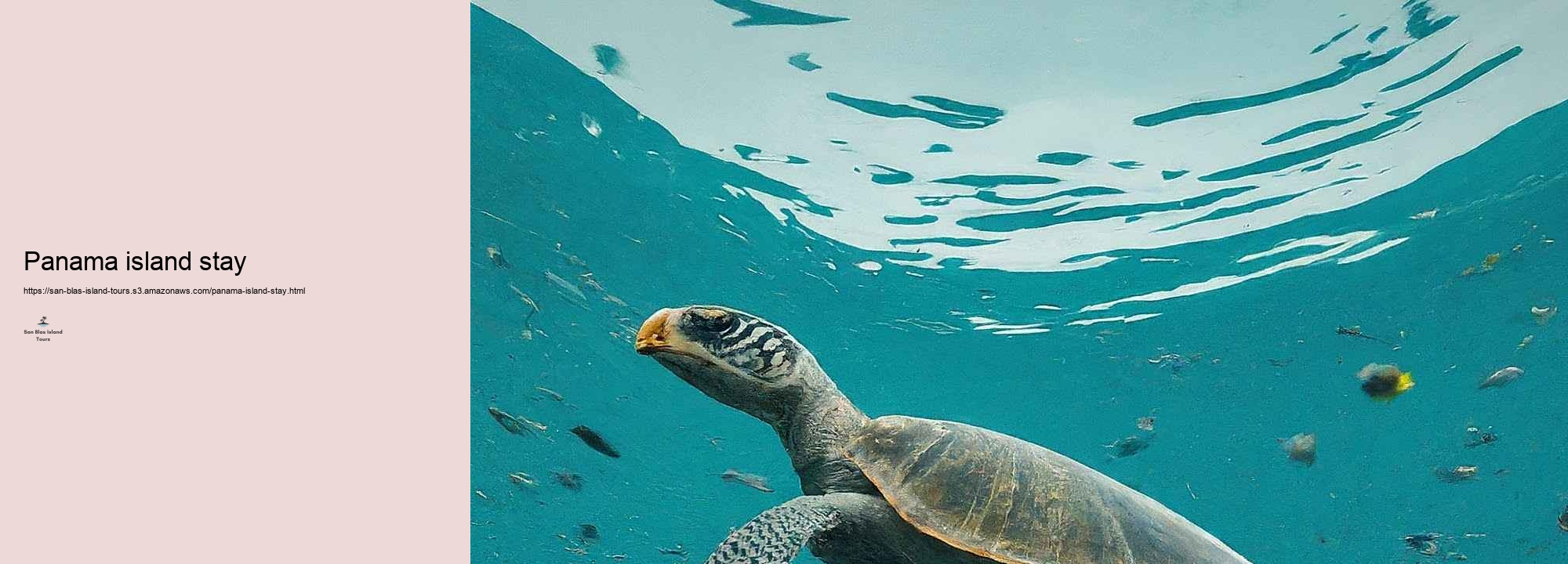 What to Expect on a San Blas Island Tour: Tasks and Highlights