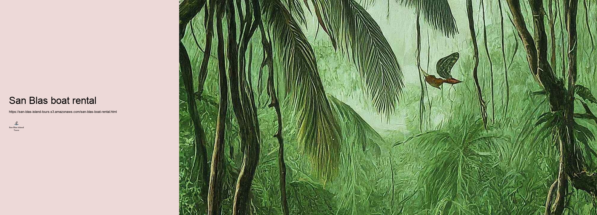 What to Anticipate on a San Blas Island Excursion: Tasks and Highlights