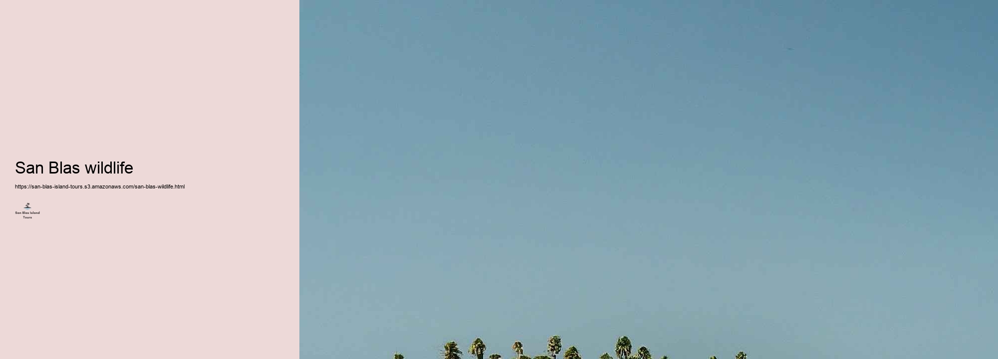 San Blas Island Hopping: A Review to one of the most effective Islands