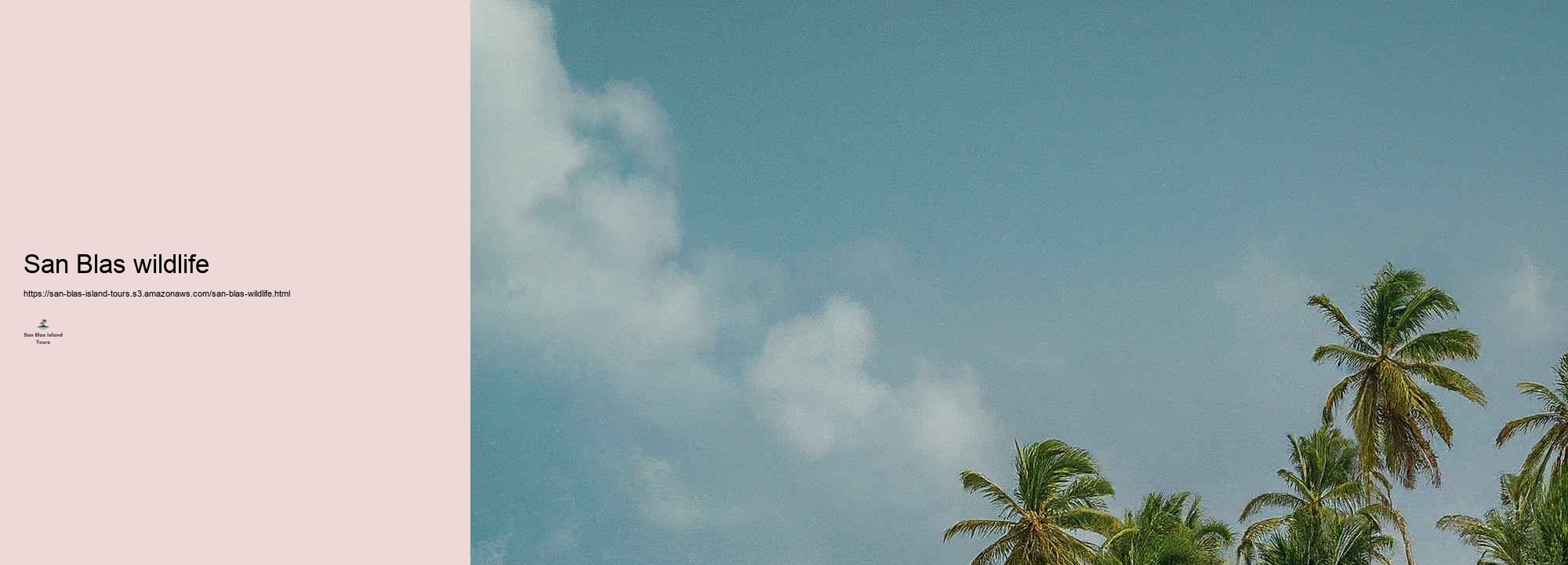 What to Expect on a San Blas Island Trip: Tasks and Emphasizes