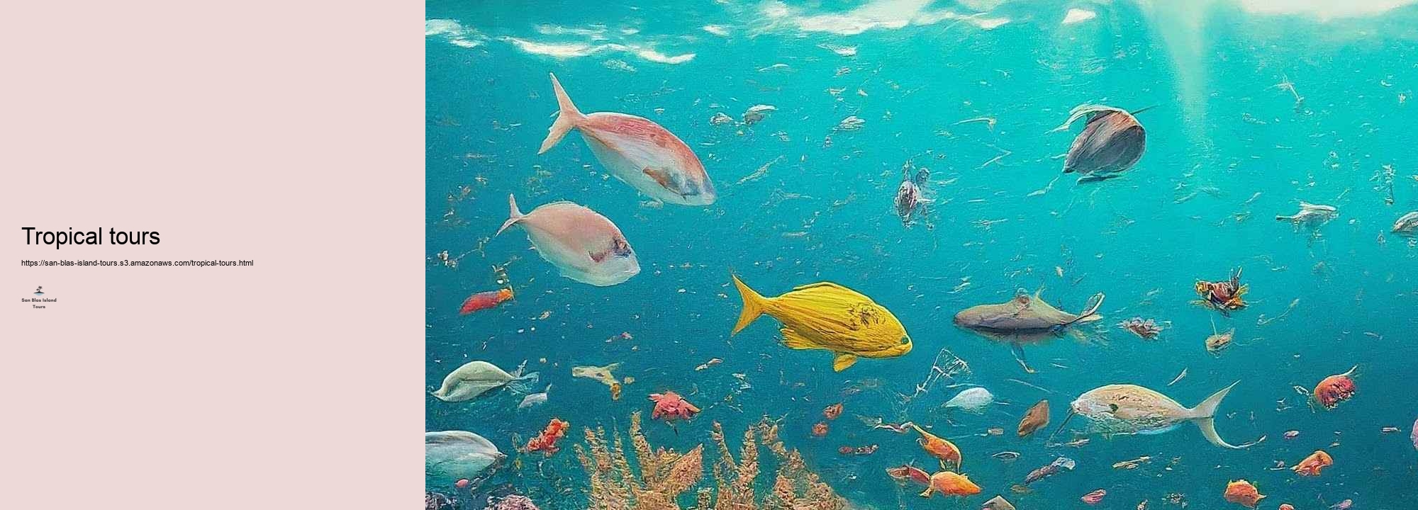 Precisely how to Plan Your San Blas Island Trip: Tips and Recommendations